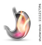 stomach disorder abstract... | Shutterstock .eps vector #1111217396