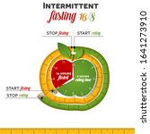 intermittent fasting apple... | Shutterstock .eps vector #1641273910