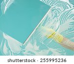 hand washing window with... | Shutterstock . vector #255995236