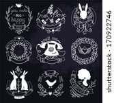 Vector Set Of Vintage Emblems...