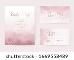 wedding dusty rose watercolor... | Shutterstock .eps vector #1669558489