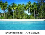 Coconut Palm Trees With Blue Sea
