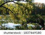 lake in the beautiful wood | Shutterstock . vector #1837669180