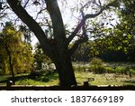 lake in the beautiful wood | Shutterstock . vector #1837669189