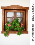 beautiful flowers in the window | Shutterstock . vector #1837952650