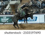 Small photo of New York, NY - January 8, 2022: Jess Lockwood of Volborg, Montana rides a bull during 2nd day of PBR Unleash The Beast at Madison Square Garden