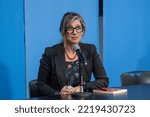 Small photo of Press briefing by Francesca Albanese, Special rapporteur on the situation of human rights in the occupied Palestinian Territories at UN Headquarters on October 27, 2022