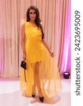 Small photo of Didi J attends fashion show by Nardos Imam for NARDOS during Fall 2024 Fashion Week at Lotos Club in New York on February 9, 2024