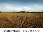 Plowed agricultural field under dramatic sky, tractor tracks, soil texture close-up. Rural scene. Farm and food industry, alternative energy and production, environmental conservation theme