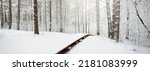 Small photo of Modern wooden walkway (boardwalk) through the snow-covered forest after a blizzard. Winter landscape. Nordic walking, skiing, ecotourism. Christmas vacations, local travel during lockdown in Europe