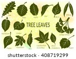 Pictograms Set  Tree Leaves ...