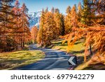 Picturesque morning view of empty asphalt road in larch forest. Sunny autumn scene of Dolomite Alps, Cortina d'Ampezzo location, Italy, Europe. Beauty of countryside concept background.