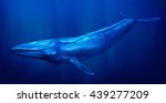 Blue Whale under water with sun light streaming down from the surface above.