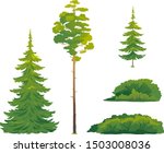 Set Of Forest Trees And Bushes  ...
