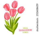 Vector Illustration Of Tulips....