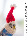 Blue Parrot In Red Santa Claus...