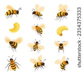 Beekeeping and apiculture, isolated bees variety, larva, and grown honeybee. Apiary and bee garden insects produce sweet nectar and honey, maggots and flying animals. Vector in flat style illustration