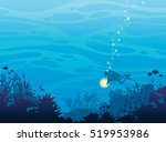 Silhouette Of Coral Reef With...
