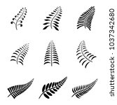 New Zealand Fern Leaf Icon...