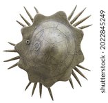 Small photo of Volchovia mobilis Hecker. Echinoderms, ophiocystioidea