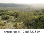 Small photo of Valley of Elah - biblical place where David fought Goliath, Israel