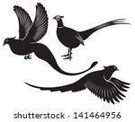 The Figure Shows A Bird Pheasant