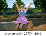 Small photo of Cute little kid girl in traditional Bavarian costume in wheat field. Happy child with hay bale during Oktoberfest in Munich. Preschool girl play at hay bales during summer harvest time in Germany.