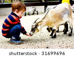 Child feeds goat at zoo
