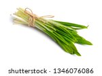 Small photo of Allium ursinum, known as wild garlic, ramsons, buckrams, broad-leaved garlic, wood garlic, bear leek or bear's garlic. Isolated on white background.