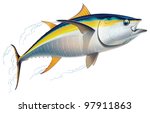 Yellowfin Tuna In Fast Motion....