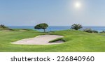 Panorama Of A Golf Course On A...