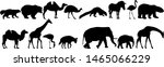 silhouette elephant bear eagle... | Shutterstock .eps vector #1465066229