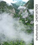 Small photo of Aerial drone view above a narrow canyon sided by vertical, abrupt, steep cliffs. The gorges are in Carpathia, Romania. Spring season, the tree leaves are bright green. Fog covers the valley. Rainy day