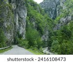 Small photo of An asphalt road winding in a narrow canyon sided by vertical, abrupt, steep cliffs. The gorges are located in Carpathia, Romania. Spring season, green blooming trees are growing on sharp cliffs.