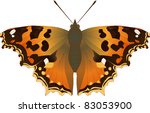 Collection Of Butterflies ...