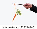 Businessman Hand Holding Carrot ...