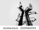 Fighting for freedom and human right concept. Close up child's hands tied with barbed wire. Black and white image. Copy space.