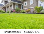 Nicely trimmed front yard with...