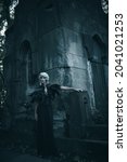 Small photo of Fantasy World. An aristocratic old widow woman with beautiful gray hair and a rich black dress stands majestic and formidable by a crypt in a cemetery. Black Widow. Halloween.