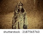 A portrait of an evil Scarecrow with a canvas bag on his head and in a burlap robe, standing in a deep forest. Vintage style. Halloween Tales. Horror, thriller. 