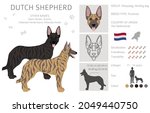 Dutch Shepherd Clipart....