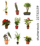 collection of isolated flowers... | Shutterstock . vector #22732159