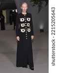 Small photo of LOS ANGELES - OCT 15: Tilda Swinton arrives for 2nd Annual Academy Museum Gala on October 15, 2022 in Los Angeles, CA