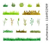 set of various plant elements ... | Shutterstock . vector #1164922909