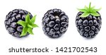 Blackberry isolated on white background close up. Blackberry collection Clipping Path. Professional studio macro shooting