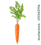 Carrot Vegetable With Leaves...