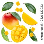 Ripe mango fruit isolated on...