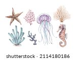 Marine Set Corals And Animal...