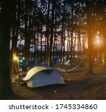 Nature Camping Tent With Tree...