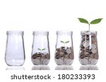 Money growing plant step with deposit coin  in bank concept
